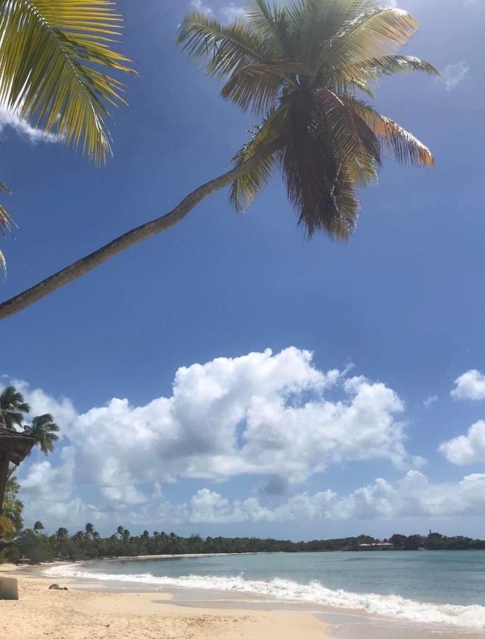 Couleur Caraibes-Cocobeach Martinique Pierre Et Vacances แซ็งต์-ลูซ ภายนอก รูปภาพ