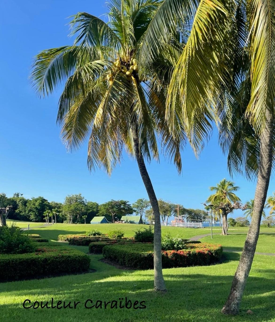 Couleur Caraibes-Cocobeach Martinique Pierre Et Vacances แซ็งต์-ลูซ ภายนอก รูปภาพ