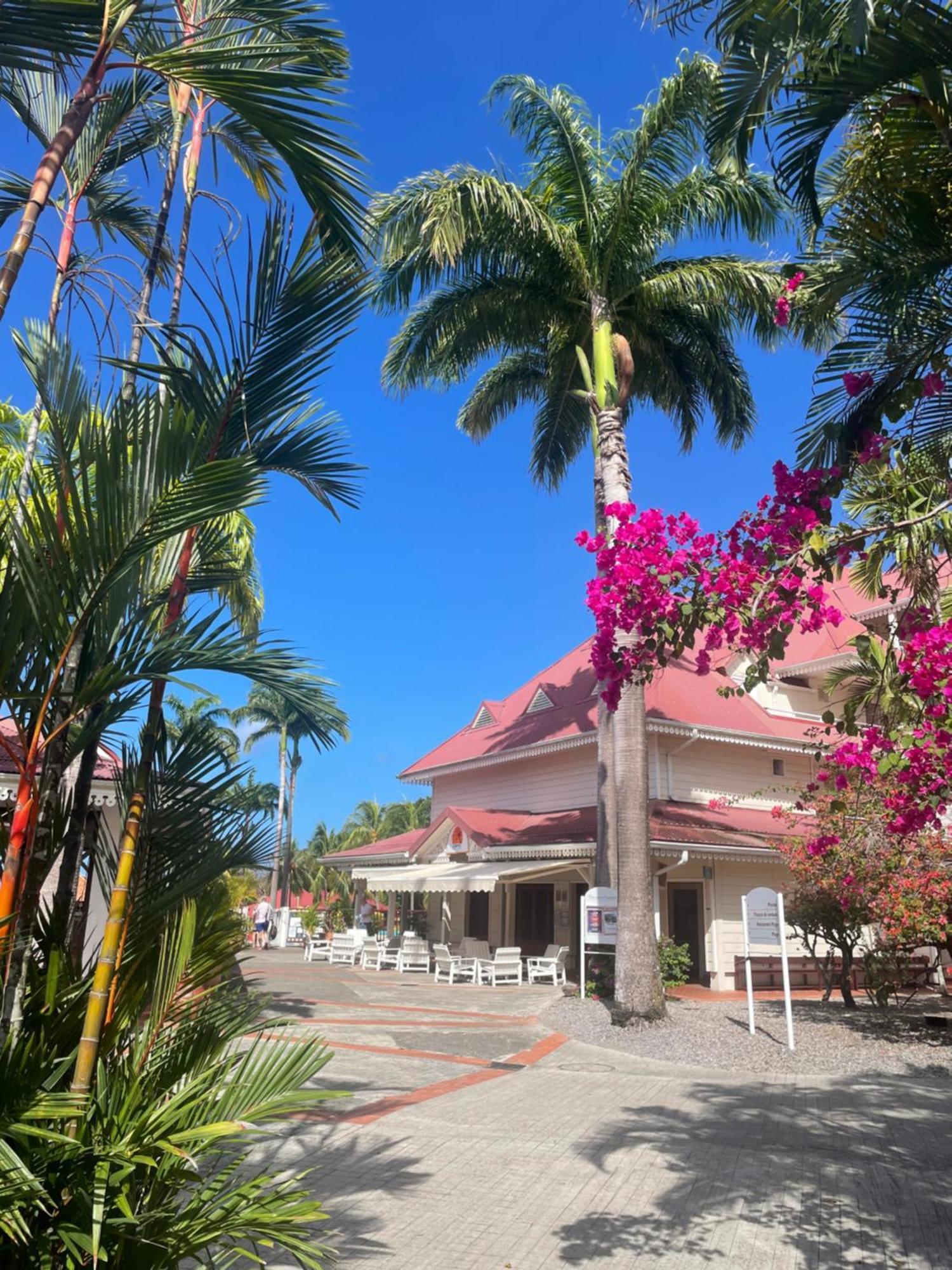 Couleur Caraibes-Cocobeach Martinique Pierre Et Vacances แซ็งต์-ลูซ ภายนอก รูปภาพ
