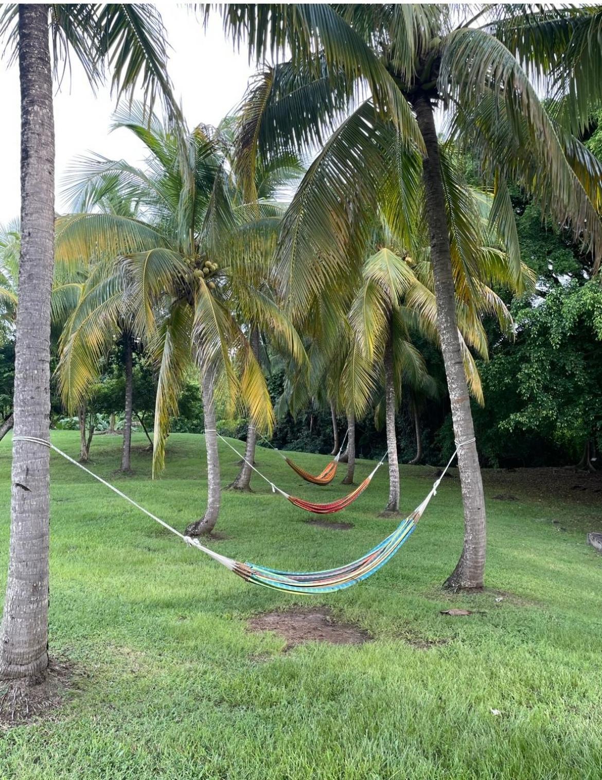 Couleur Caraibes-Cocobeach Martinique Pierre Et Vacances แซ็งต์-ลูซ ภายนอก รูปภาพ