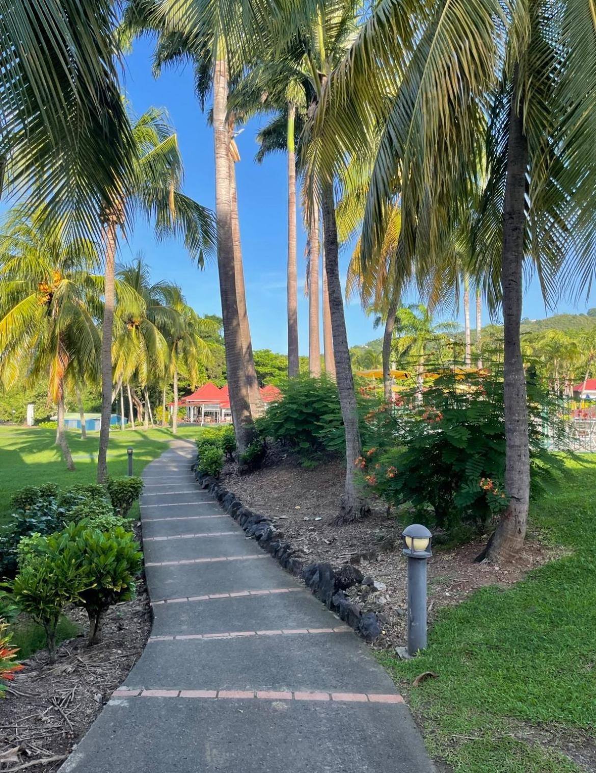 Couleur Caraibes-Cocobeach Martinique Pierre Et Vacances แซ็งต์-ลูซ ภายนอก รูปภาพ