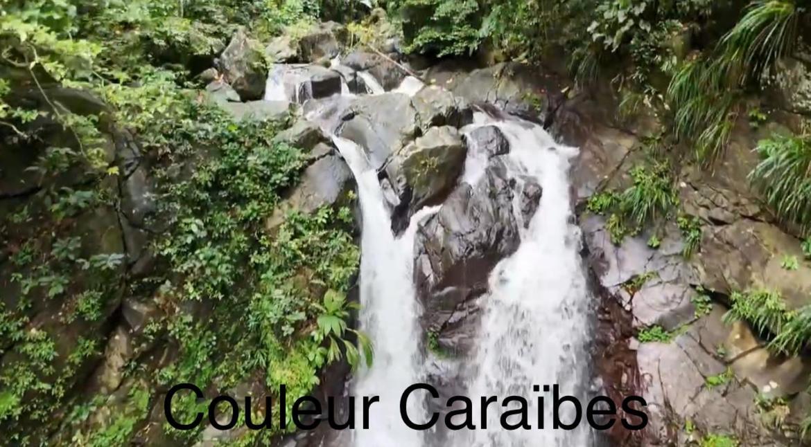 Couleur Caraibes-Cocobeach Martinique Pierre Et Vacances แซ็งต์-ลูซ ภายนอก รูปภาพ