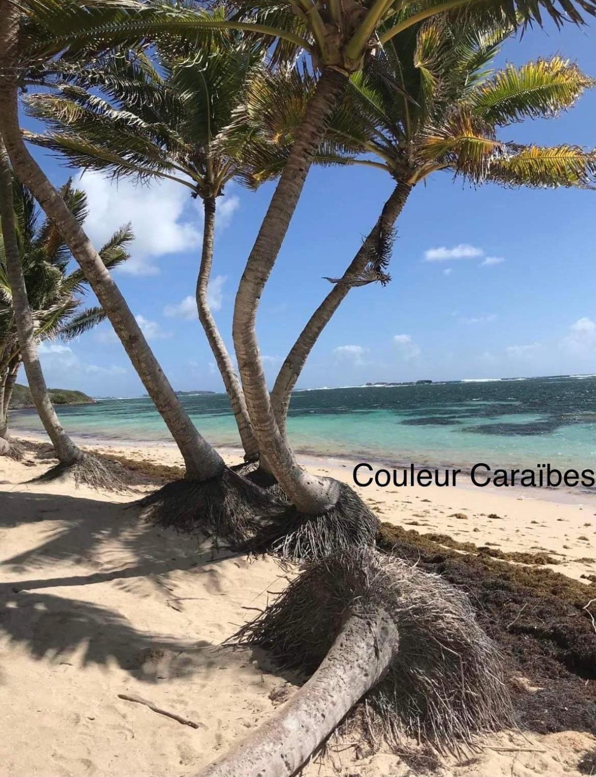 Couleur Caraibes-Cocobeach Martinique Pierre Et Vacances แซ็งต์-ลูซ ภายนอก รูปภาพ